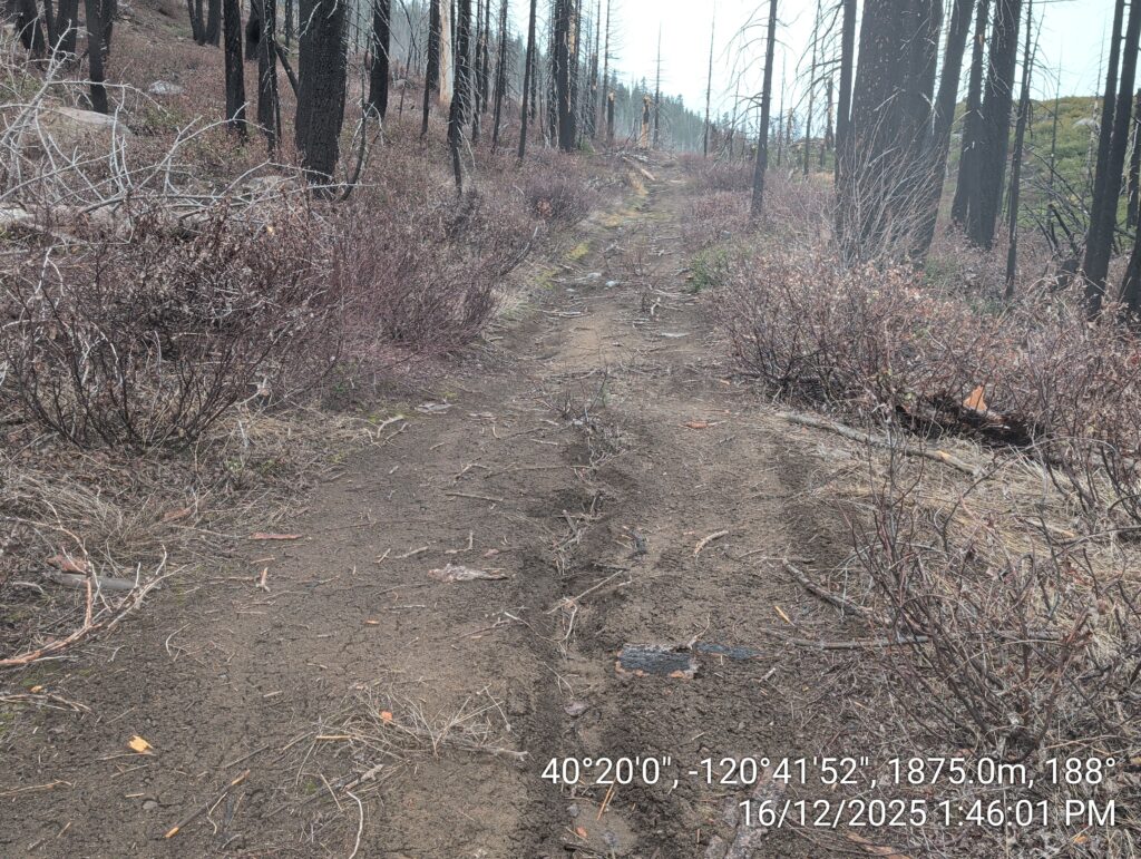 Illegal 70 + Acre Herbicide Application Photos and Evidence for the Lahontan Water Board 269 IMG 20251216 134601