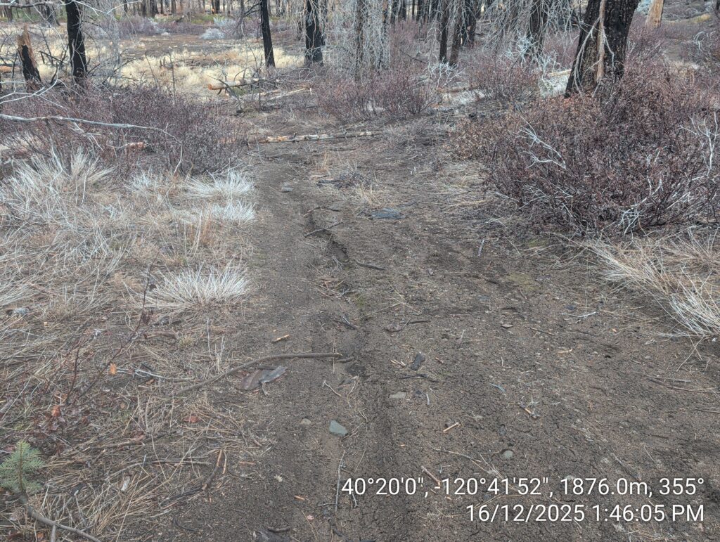 Illegal 70 + Acre Herbicide Application Photos and Evidence for the Lahontan Water Board 270 IMG 20251216 134605