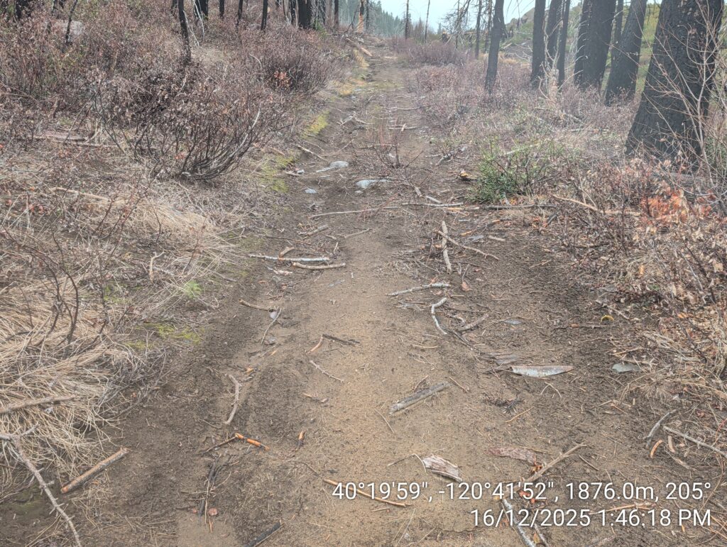 Illegal 70 + Acre Herbicide Application Photos and Evidence for the Lahontan Water Board 272 IMG 20251216 134618 1
