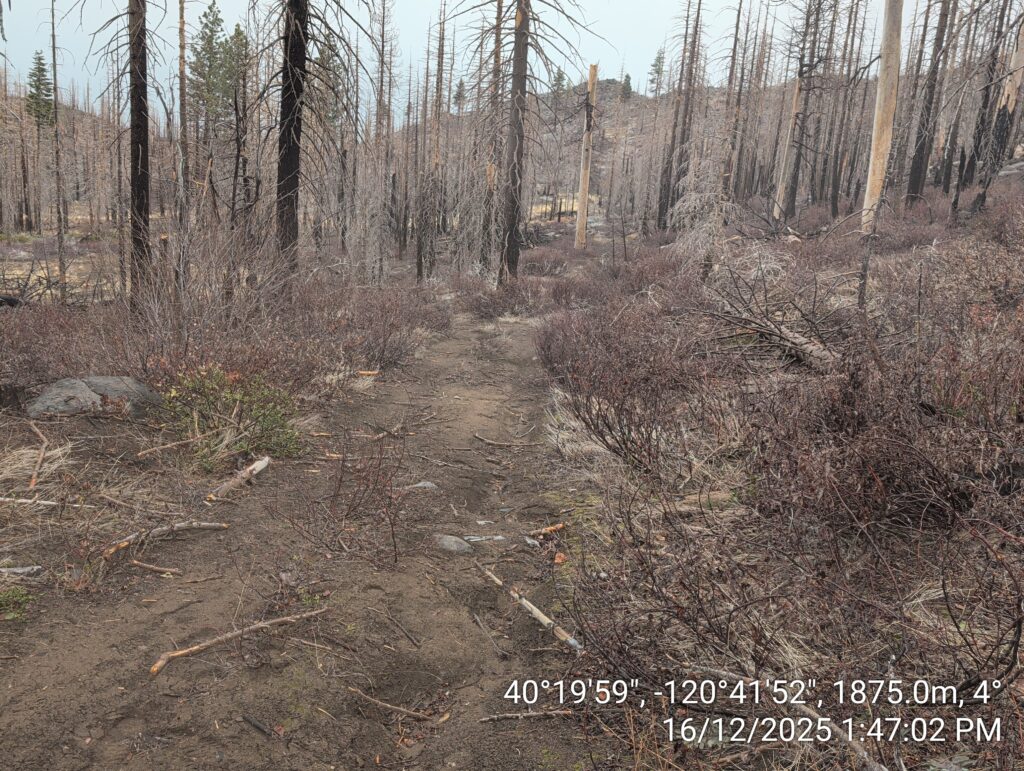 Illegal 70 + Acre Herbicide Application Photos and Evidence for the Lahontan Water Board 276 IMG 20251216 134702 1