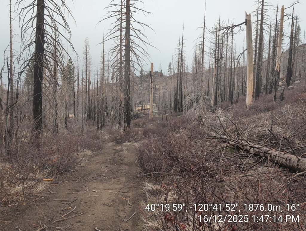 Illegal 70 + Acre Herbicide Application Photos and Evidence for the Lahontan Water Board 277 IMG 20251216 134714