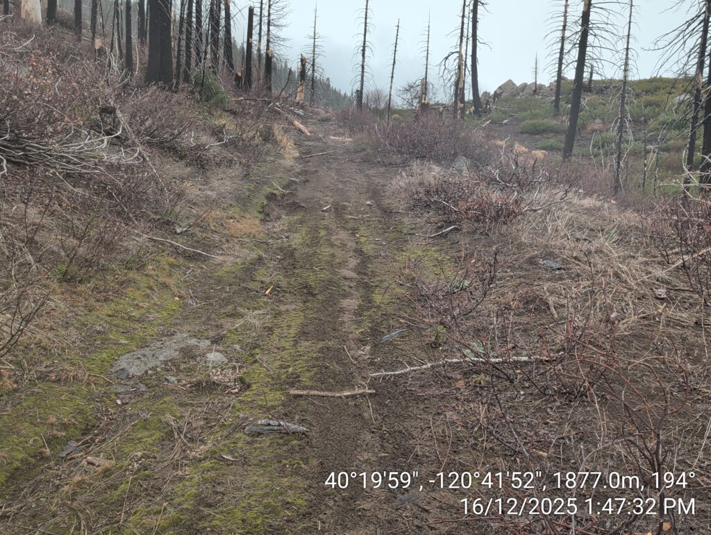 Illegal 70 + Acre Herbicide Application Photos and Evidence for the Lahontan Water Board 279 IMG 20251216 134732