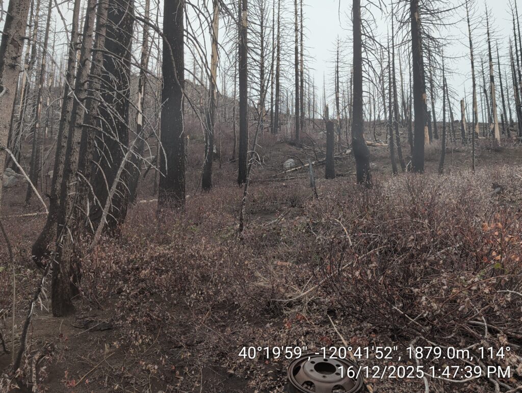 Illegal 70 + Acre Herbicide Application Photos and Evidence for the Lahontan Water Board 280 IMG 20251216 134739