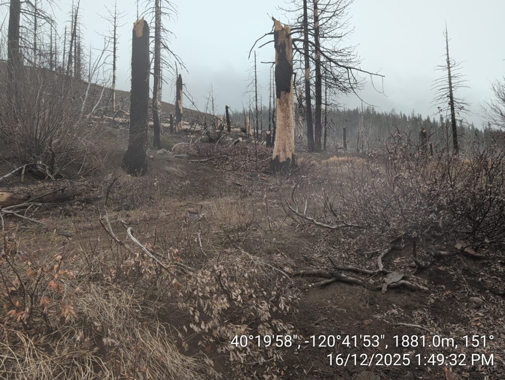 Illegal 70 + Acre Herbicide Application Photos and Evidence for the Lahontan Water Board 284 IMG 20251216 134932