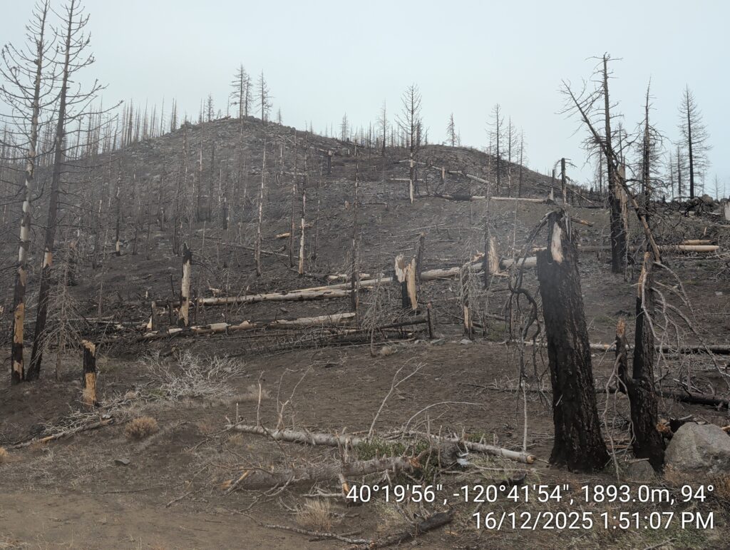 Illegal 70 + Acre Herbicide Application Photos and Evidence for the Lahontan Water Board 286 IMG 20251216 135107 1