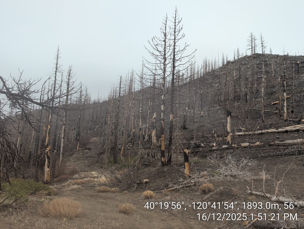 Illegal 70 + Acre Herbicide Application Photos and Evidence for the Lahontan Water Board 287 IMG 20251216 135121 1