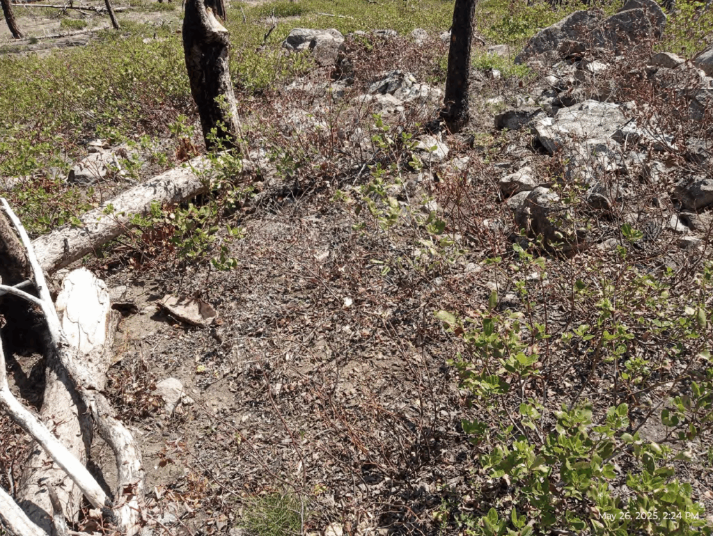 Illegal 70 + Acre Herbicide Application Photos and Evidence for the Lahontan Water Board 296 Screen Shot 2025 12 19 at 5.59.38 PM