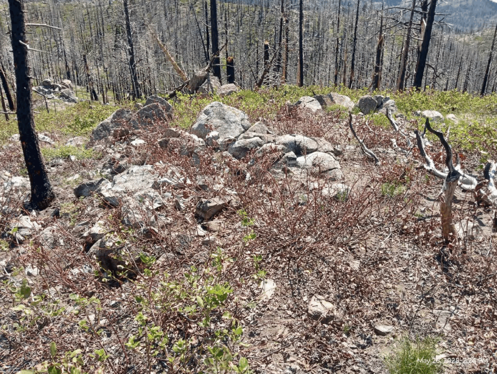 Illegal 70 + Acre Herbicide Application Photos and Evidence for the Lahontan Water Board 297 Screen Shot 2025 12 19 at 5.59.51 PM