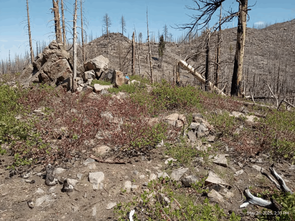 Illegal 70 + Acre Herbicide Application Photos and Evidence for the Lahontan Water Board 303 Screen Shot 2025 12 19 at 6.00.52 PM
