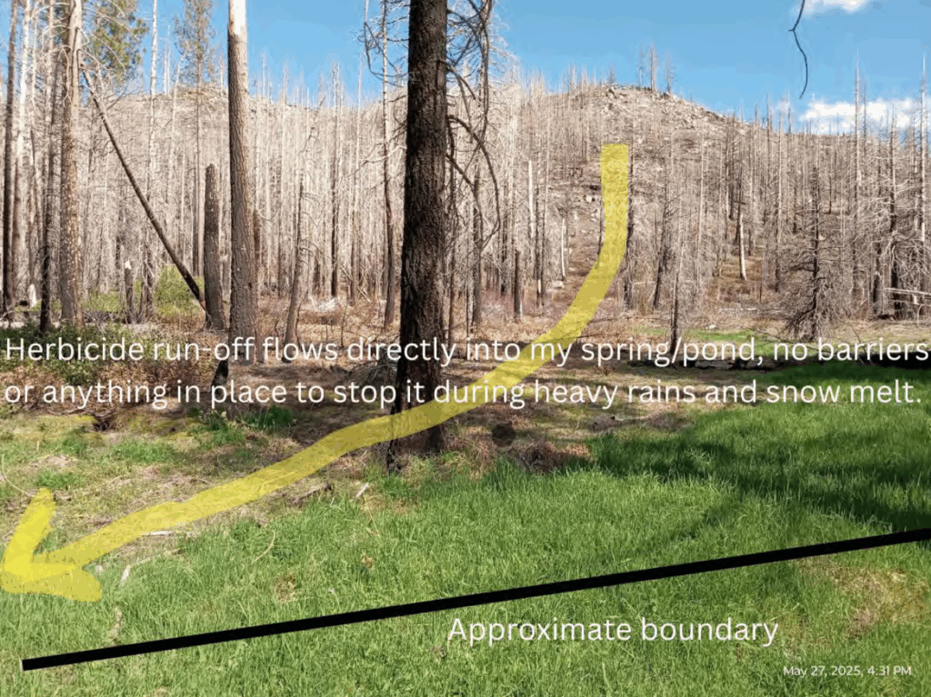Illegal 70 + Acre Herbicide Application Photos and Evidence for the Lahontan Water Board 306 Screen Shot 2025 12 19 at 6.01.36 PM
