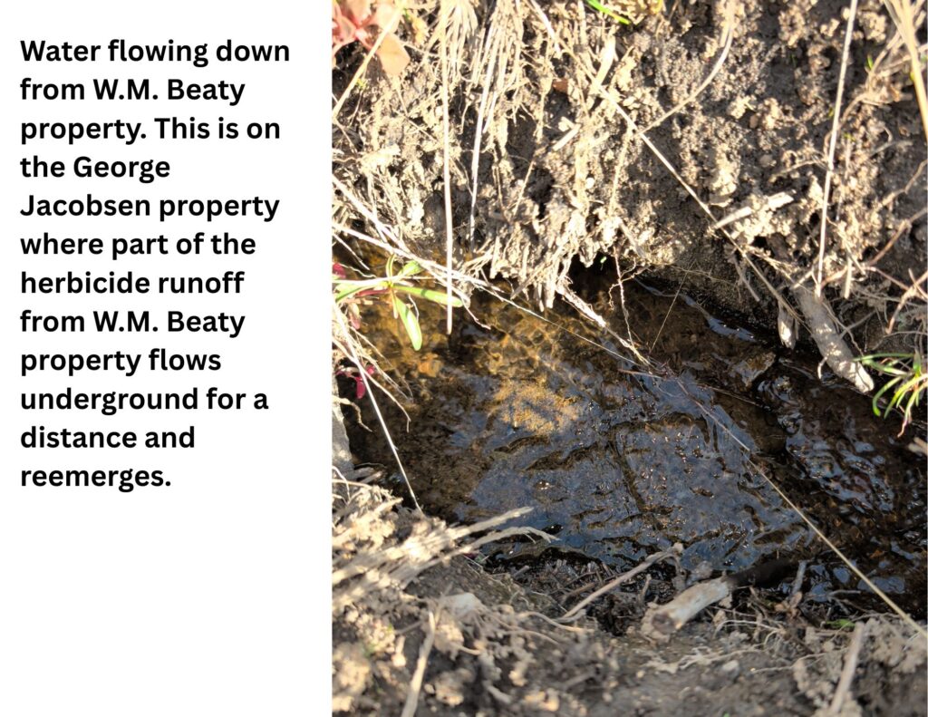 Subsurface Herbicide Runoff